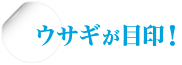 ウサギが目印！